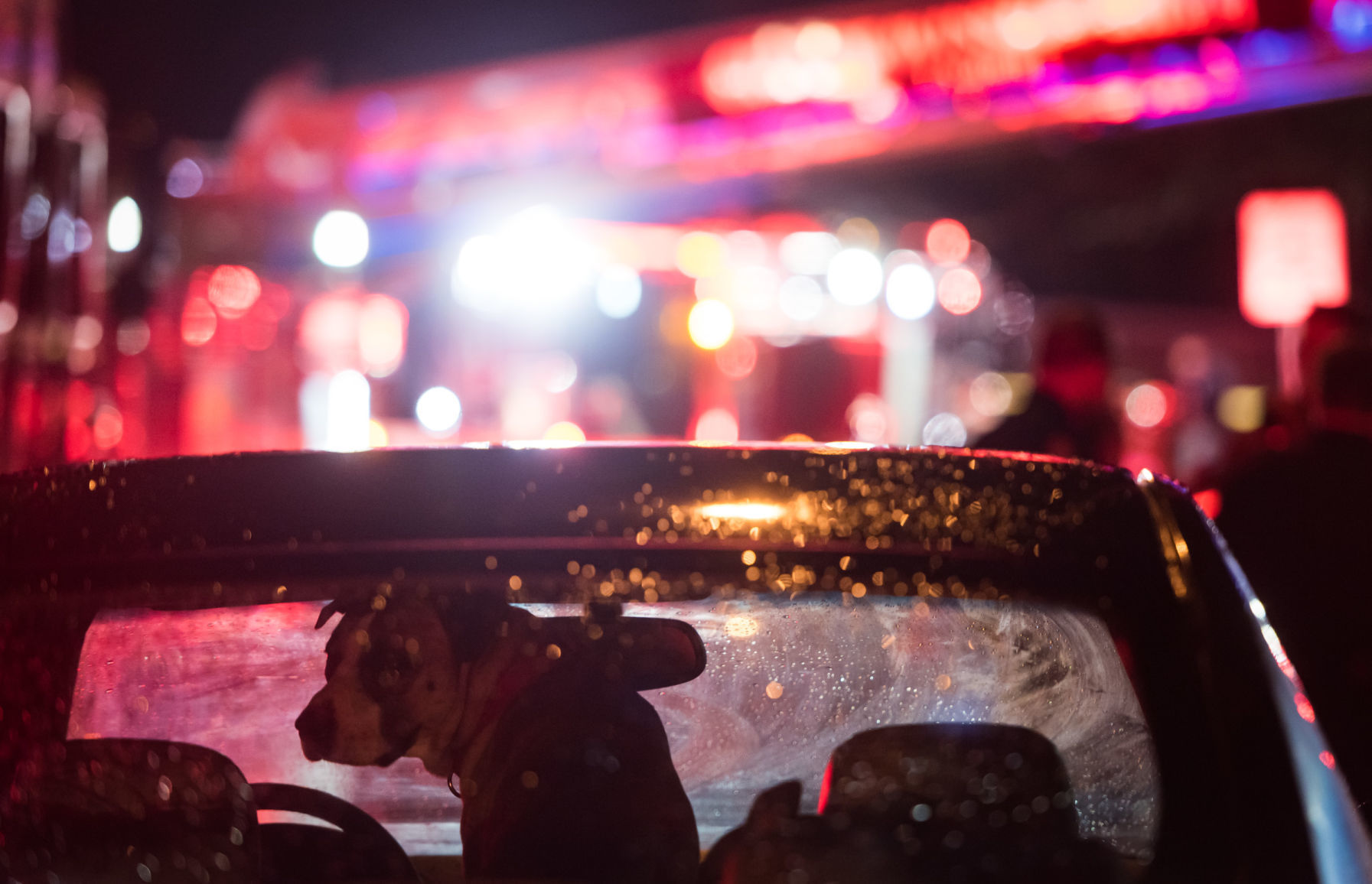 Timlic Avenue Apartment Fire